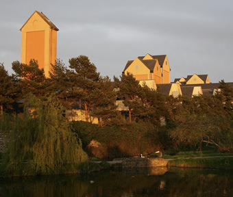 moving-company-naas